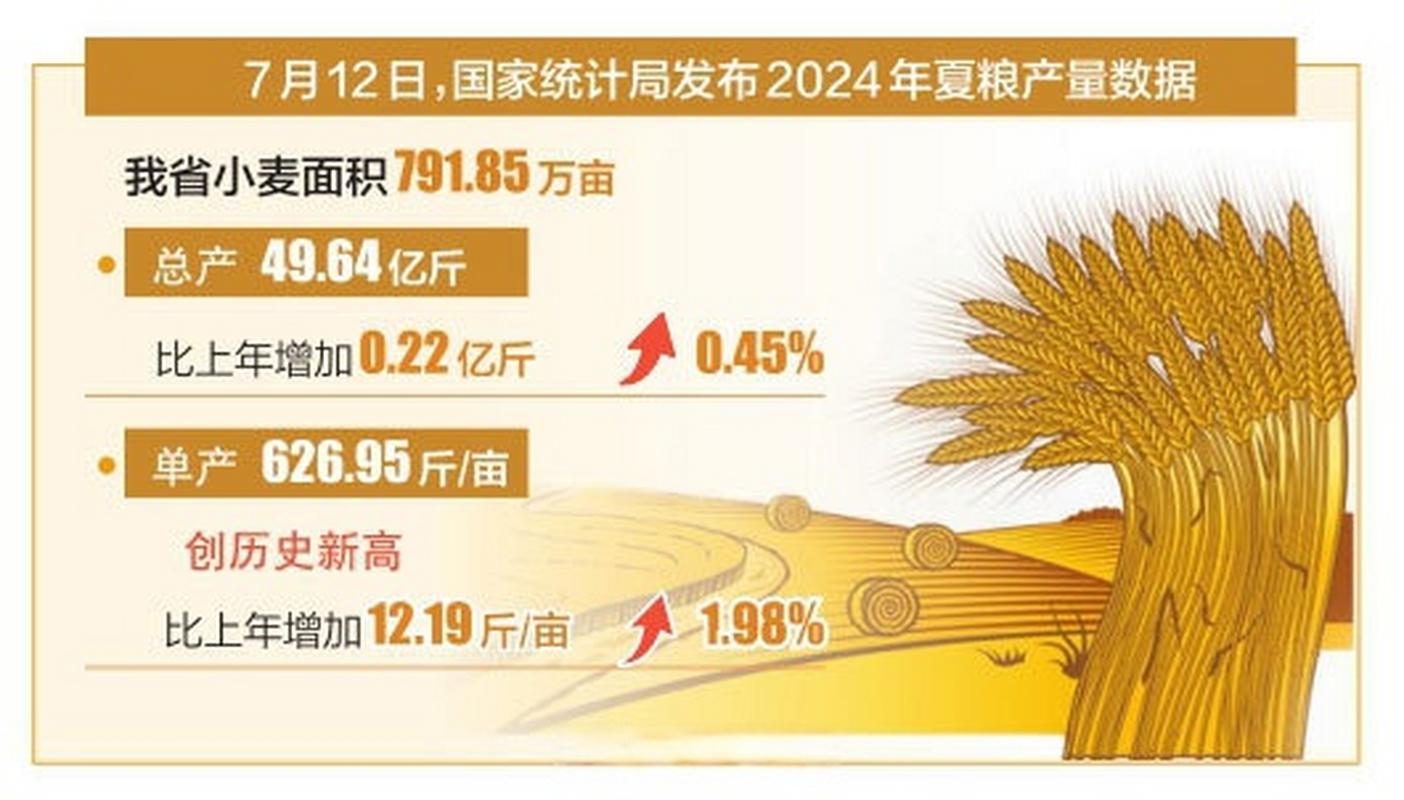 山西省小麦大面积实收测产单产大幅提升