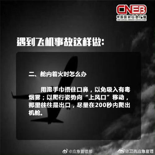 飞机撞击鸟类 起落架无法工作 这类情况非常危险 最新专家分析→