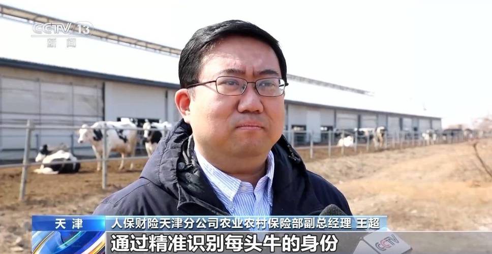 “牛脸识别”助力农业保险 产业发展有效率更有底气