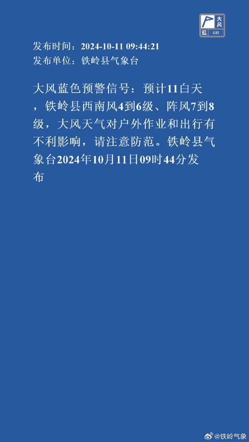吉林省集安市发布大风蓝色预警_4