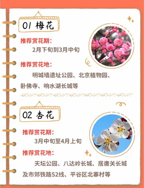 乐享春日,这本赏花指南快了解