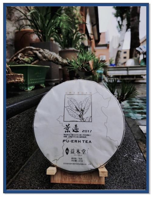 把世界文化遗产名片带来的流量变“留量” 打卡景迈山 重温古茶韵