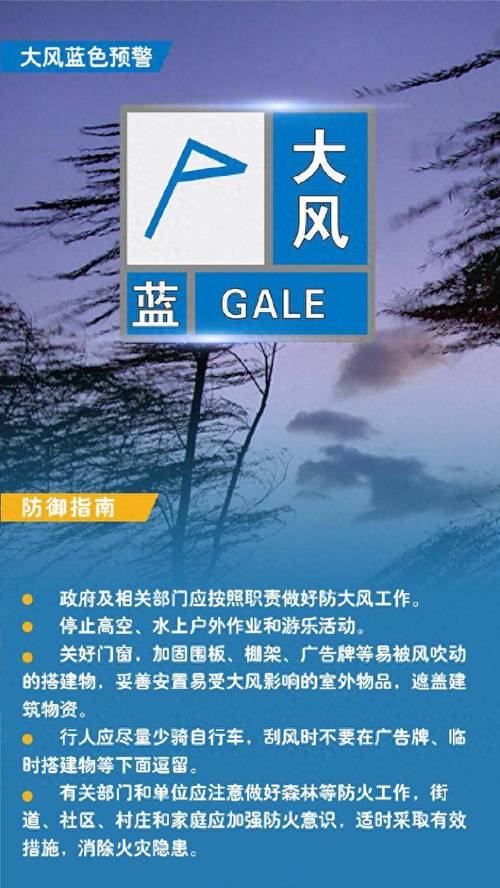 黑龙江省林口县发布大风蓝色预警_1