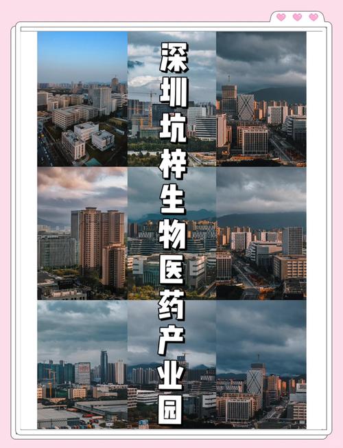 深圳首批认定生物医药和医疗器械专业园区出炉