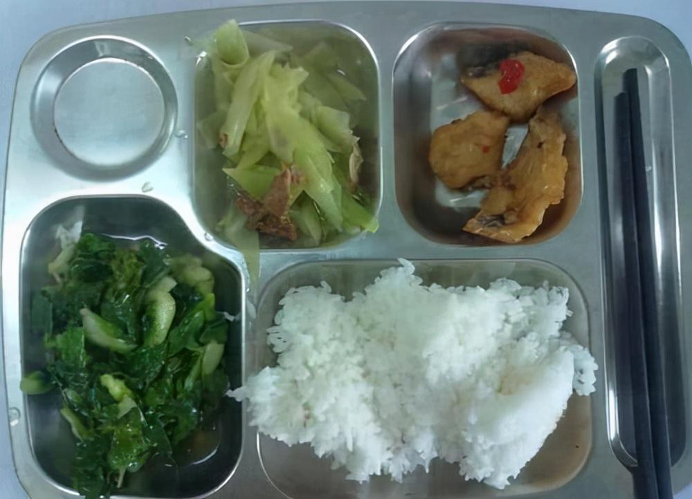 浙江温州:中小学食堂每天至少提供12种食物