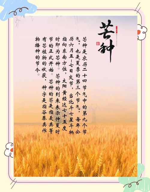 芒种到,仲夏始(把自然讲给你听)