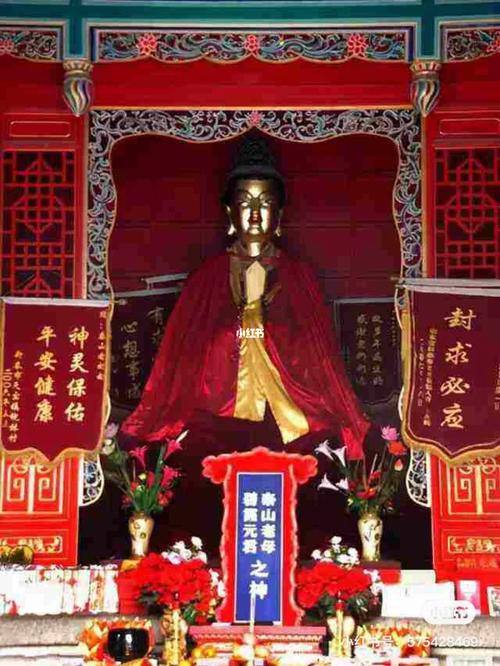 通讯:泰山深处有“菇”事