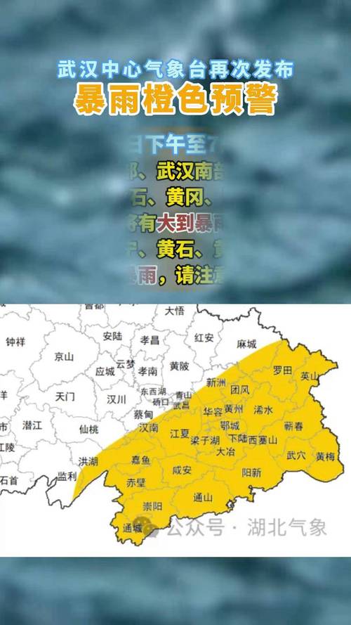 湖北省梁子湖区发布暴雨黄色预警_1