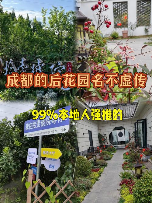 这个花园很疗愈!成都高新区这个为老服务综合体焕新亮相