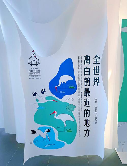 跟着候鸟来 带着文创走(美丽中国·不一样的生态游③)