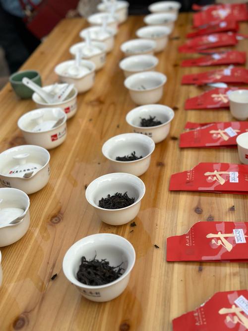 新宁“斗茶艺”助推茶旅产业融合发展